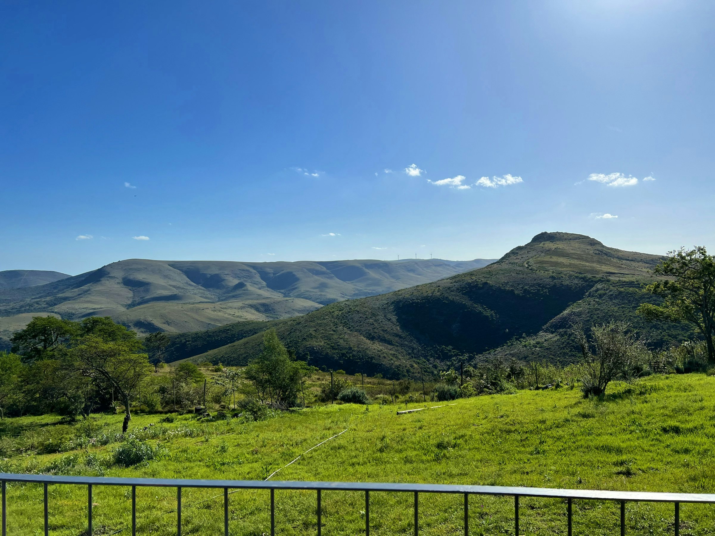 Makhanda (Grahamstad)