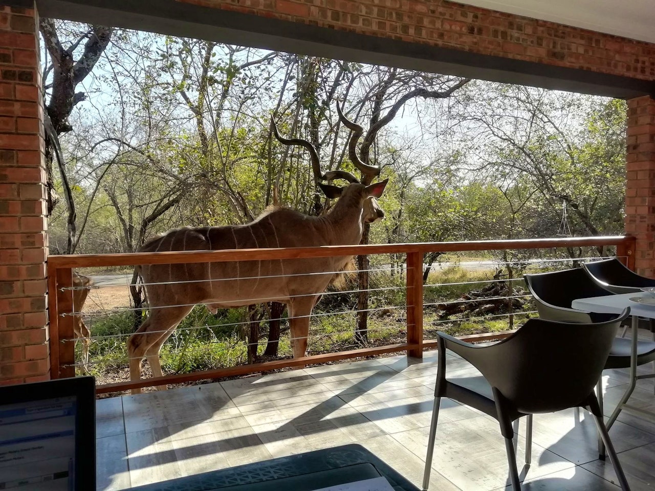 Kruger National Park South Accommodation at  | Viya