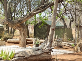 Lowveld Accommodation at  | Viya