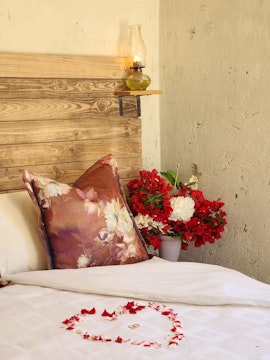 Western Cape Accommodation at  | Viya