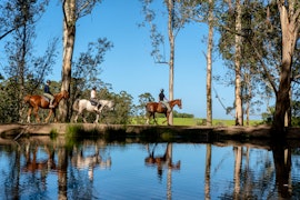 Garden Route Accommodation at Oakhurst Farm Cottages | Viya