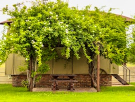 Free State Accommodation at  | Viya