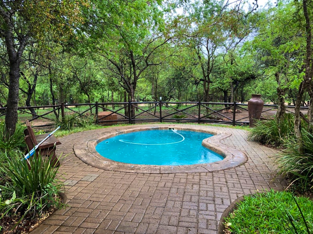 Kruger National Park South Accommodation at  | Viya