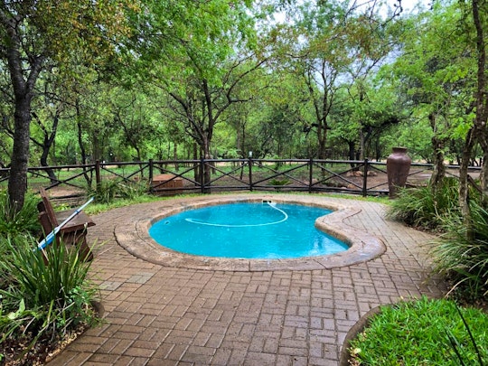 Kruger National Park South Accommodation at  | Viya