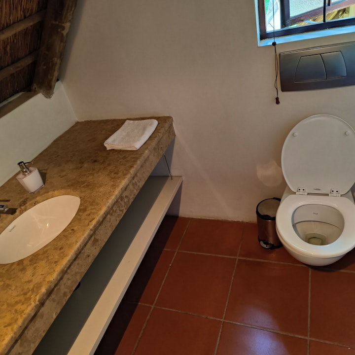 Gauteng Accommodation at Lipizzaner Lodge | Viya