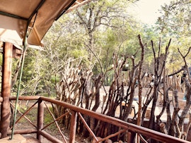 Kruger National Park South Accommodation at  | Viya