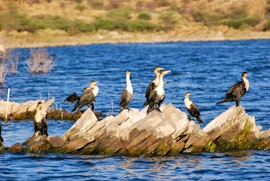 Hardap Accommodation at Lake Oanob Resort - Campsites | Viya