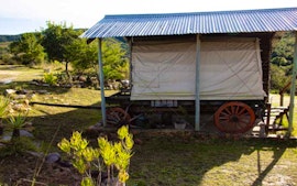 Sarah Baartman District Accommodation at Bergrivier Geelhout Ox Wagon 3 | Viya