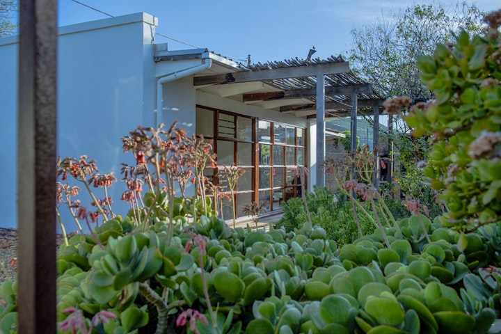Western Cape Accommodation at The Cowshed | Viya