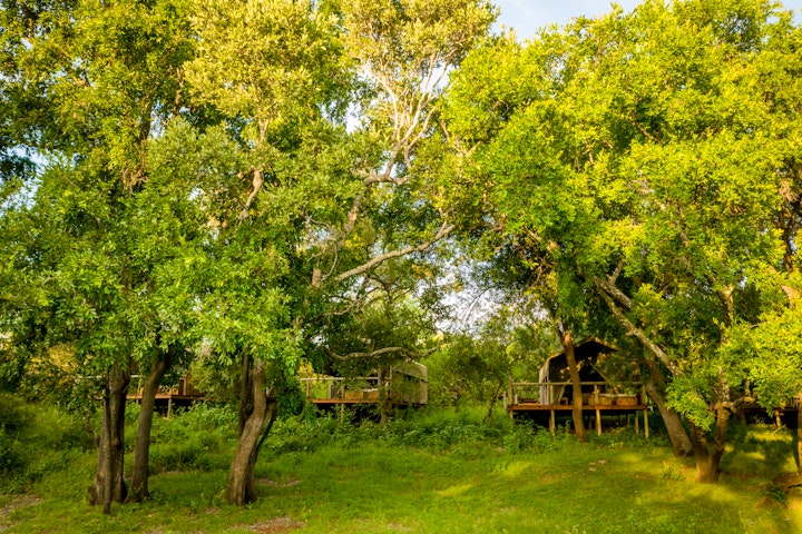 Kruger To Canyons Accommodation at Rukiya Safari Camp | Viya