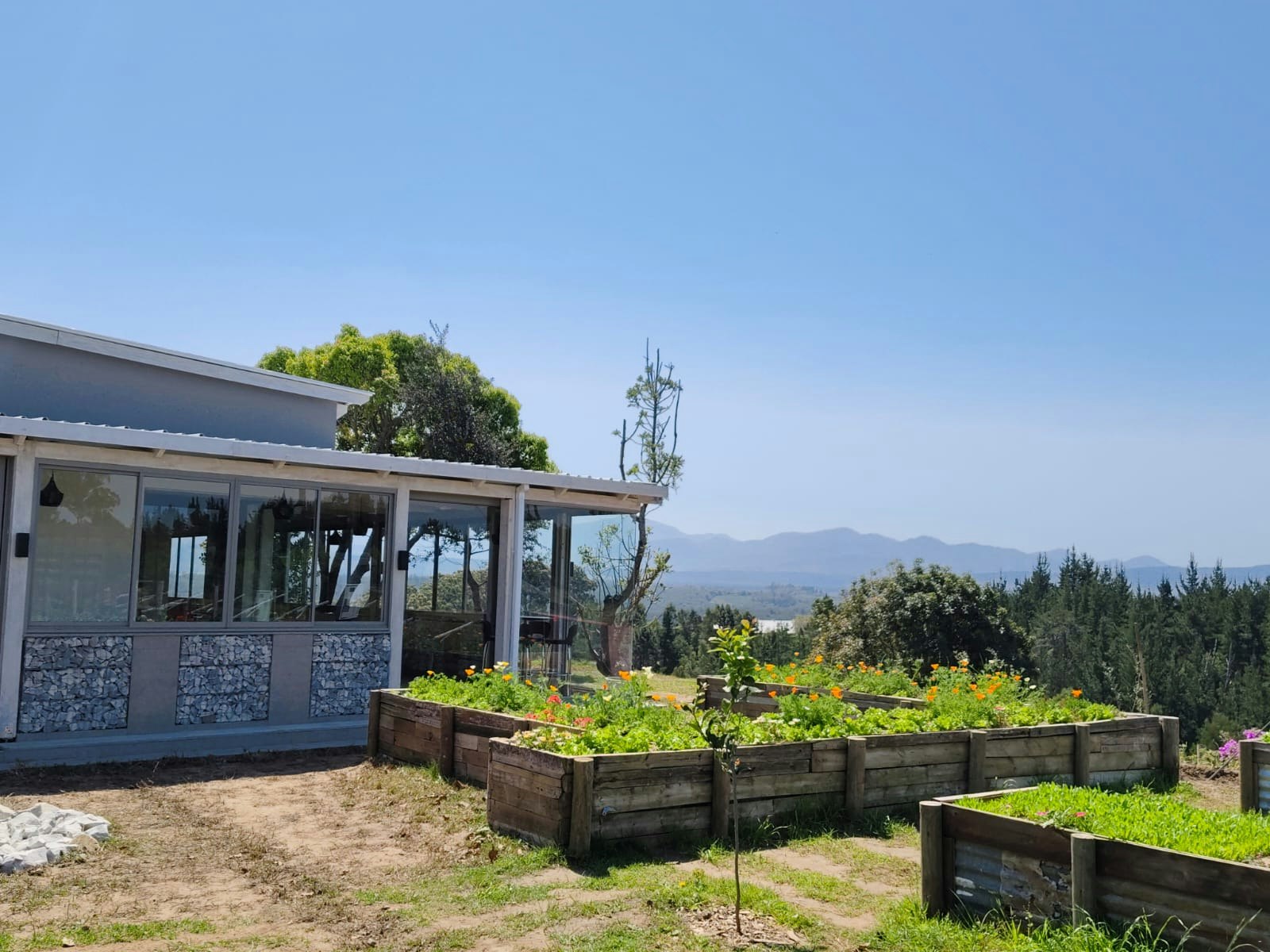 Luna Verde Farm LekkeSlaap