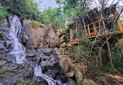  at Forest Falls Treehouse | TravelGround