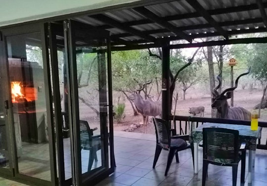 Kruger National Park South Accommodation at  | Viya