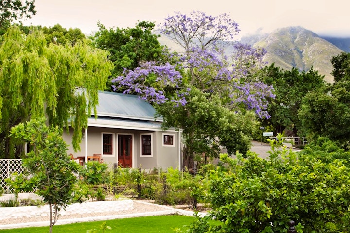 Overberg Accommodation at Schoone Oordt Country House | Viya