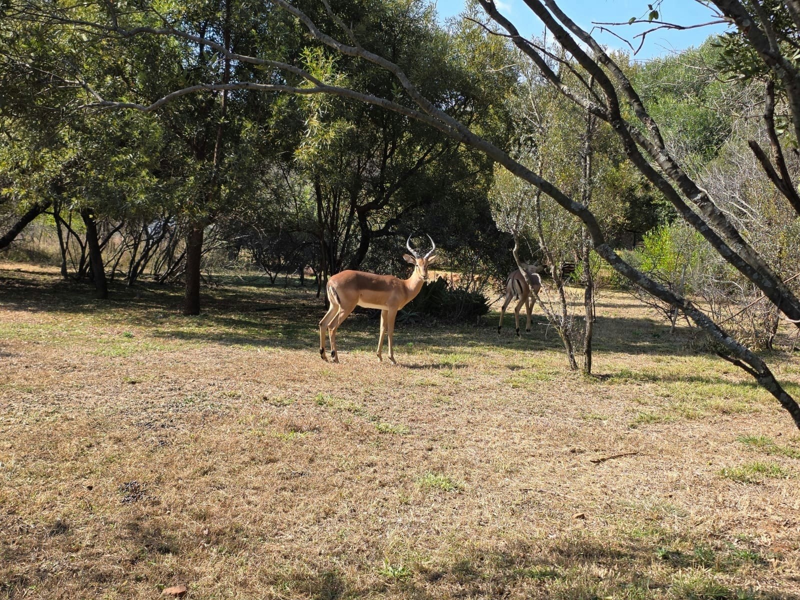 Stofpad Stay @ Kameelfontein Landgoed image no 27 of 28