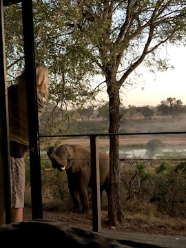 Mpumalanga Accommodation at Laniakea @ Mjejane Private Game Reserve | Viya