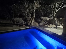 Kruger National Park South Accommodation at Pride Rock | Viya