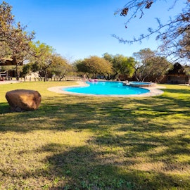 Dinokeng Game Reserve Accommodation at Afsaal Karavaan en Boskamp | Viya