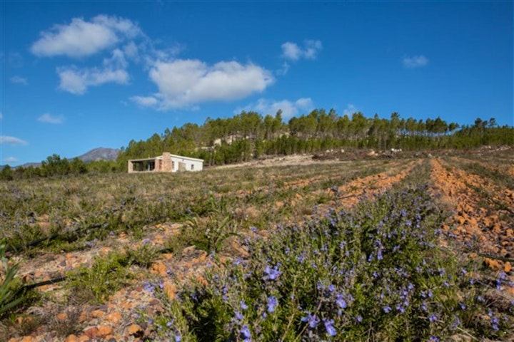 Overberg Accommodation at The Rosemary Hut | Viya