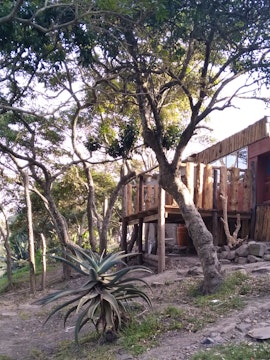 Wild Coast Accommodation at  | Viya