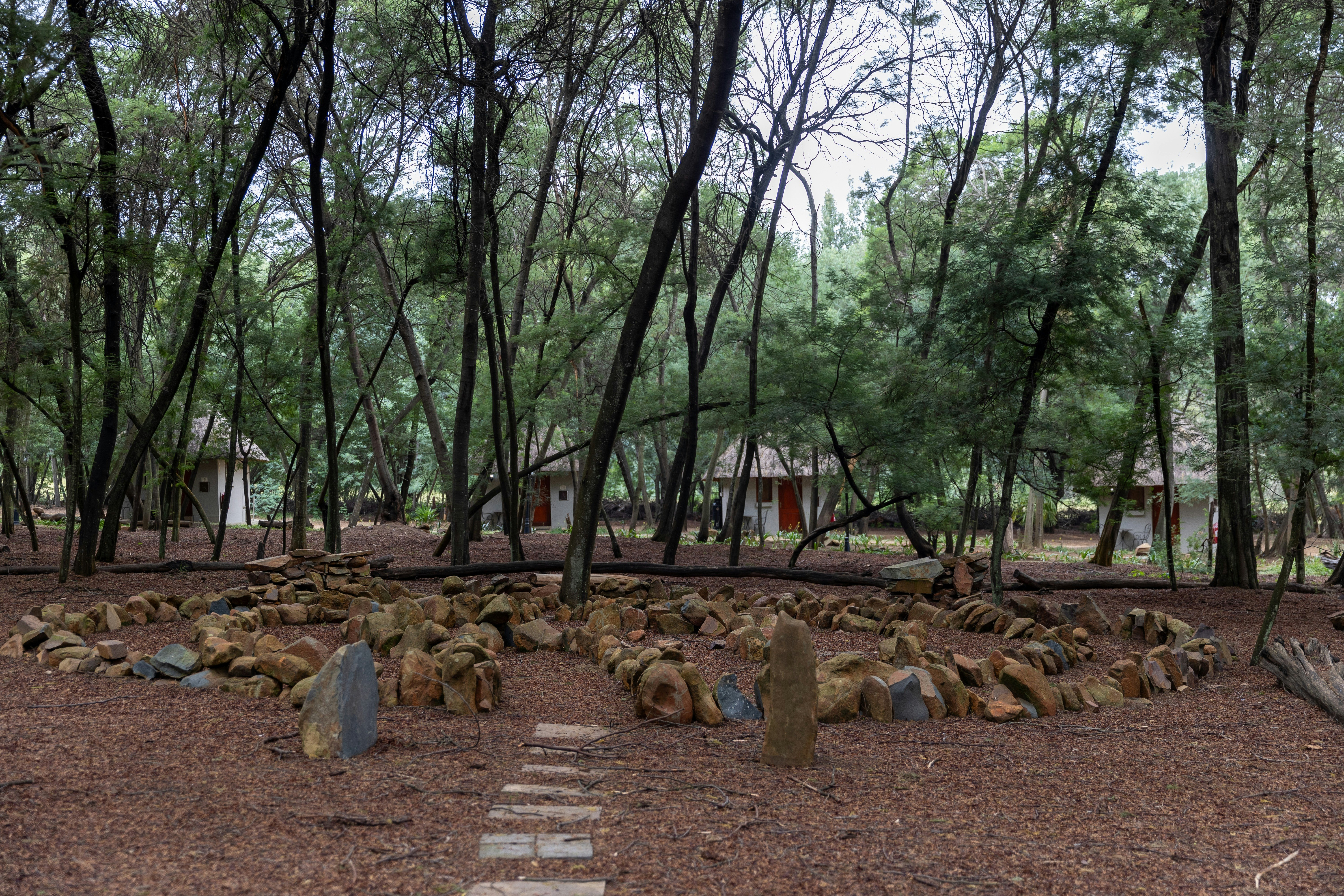 Ingaadi image no 4 of 13