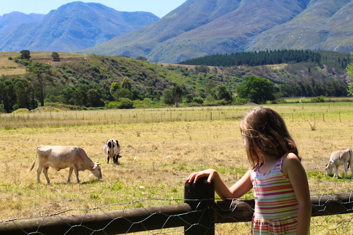 Overberg Accommodation at Arumvale Country Retreat | Viya