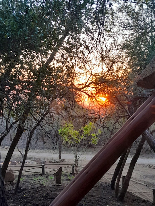 Kruger National Park South Accommodation at  | Viya