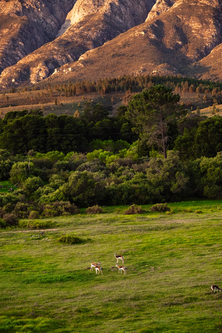 Western Cape Accommodation at Tulbagh Mountain Cabin | Viya