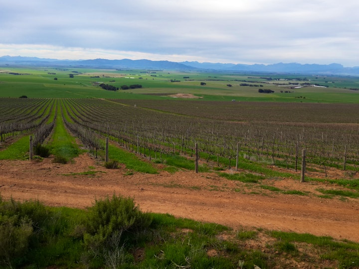 Cape Town Accommodation at Durbanville Stay | Viya