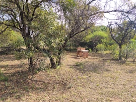 Dinokeng Game Reserve Accommodation at  | Viya