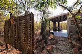 Kruger National Park South Accommodation at  | Viya