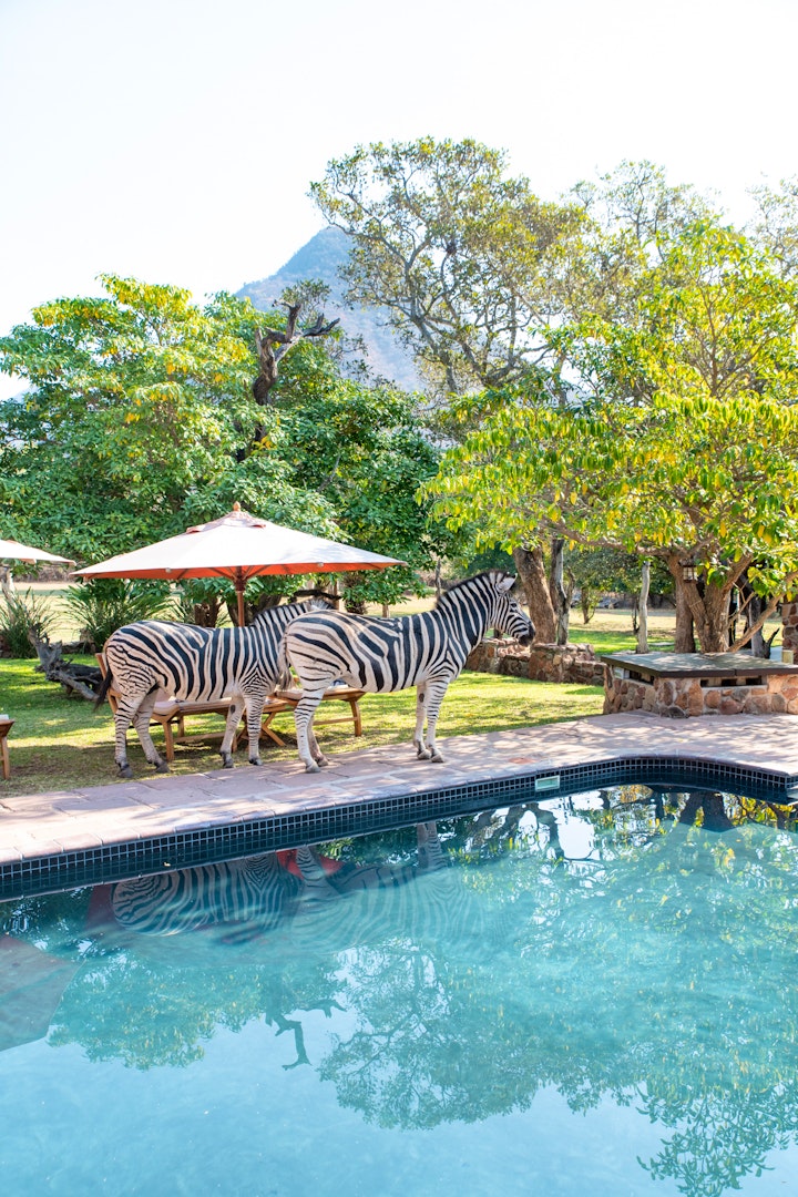 Limpopo Accommodation at Blyde River Canyon Lodge | Viya