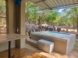 Kruger National Park South Accommodation at  | Viya