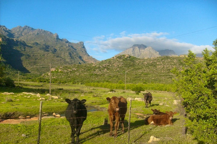 Cederberg Accommodation at Krakadouw Cottages | Viya