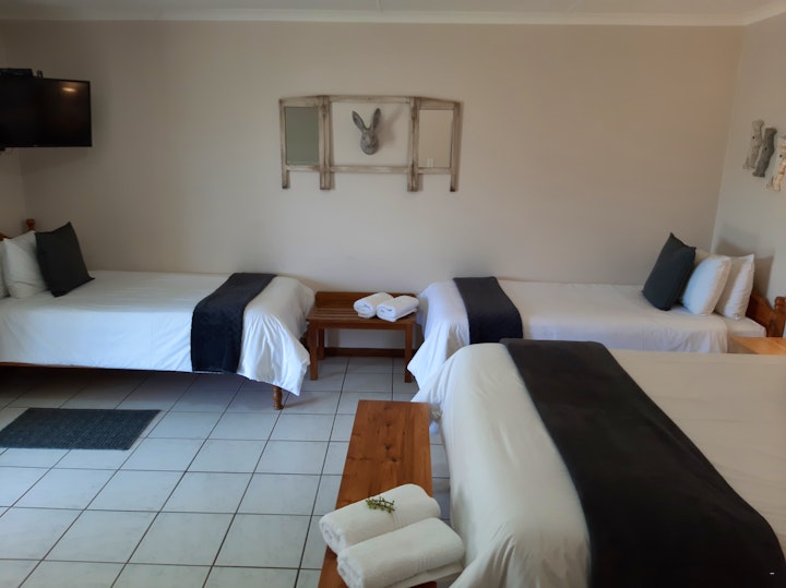 Karoo Accommodation at En Route | Viya