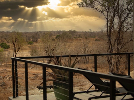 Kruger National Park South Accommodation at  | Viya