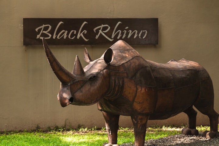 North West Accommodation at Black Rhino Game Lodge | Viya