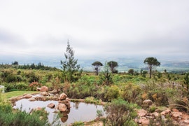 Boland Accommodation at The Oaks Tulbagh | Viya