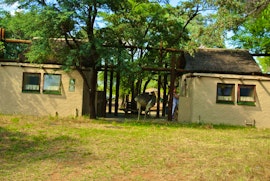 Waterberg Accommodation at SANParks Bontle Rest Camp | Viya