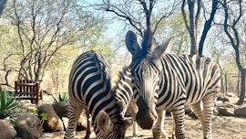 Kruger National Park South Accommodation at Kruger Kumba Lahlekile Nathi | Viya