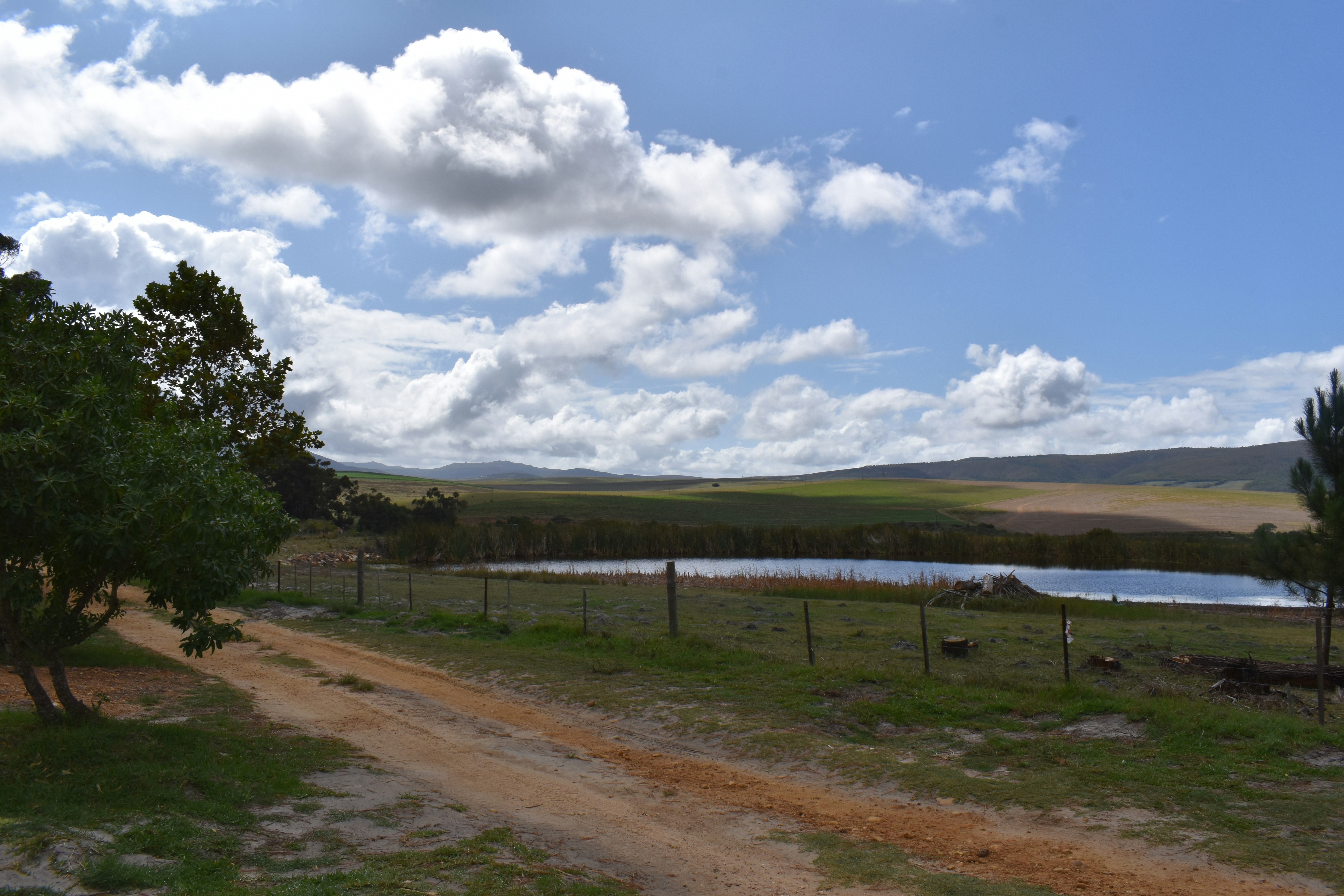 Willowdale Farm Cottages Rooms