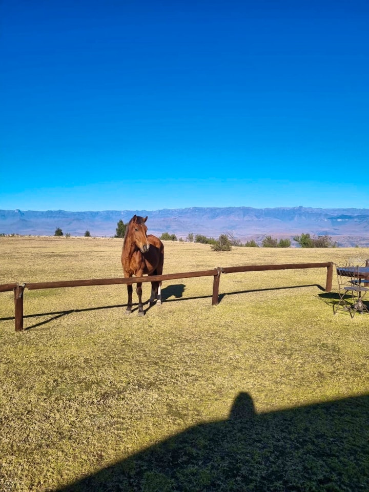 KwaZulu-Natal Accommodation at Drakensberg Mountain Retreat | Viya