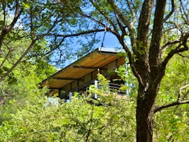 Kruger To Canyons Accommodation at Greenfire Game Lodge | Viya