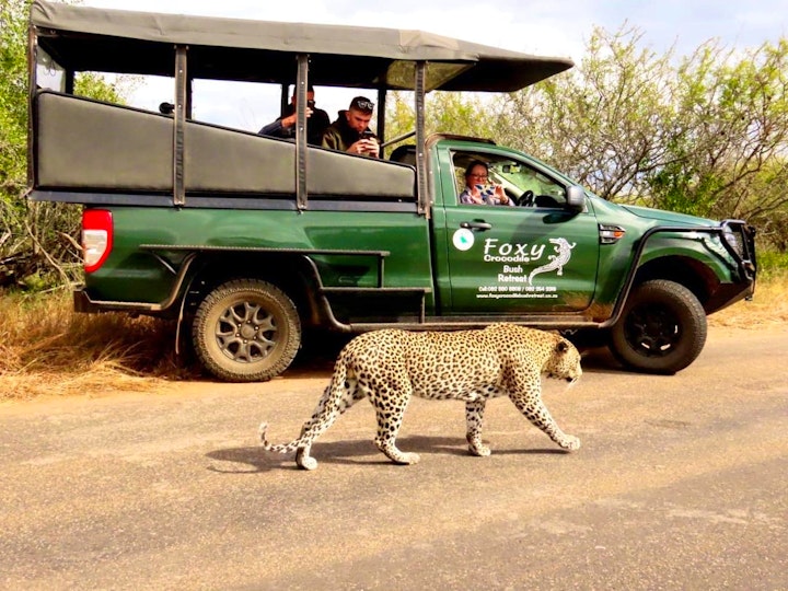 Kruger National Park South Accommodation at Foxy Crocodile Bush Retreat | Viya