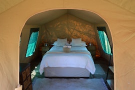 Dinokeng Game Reserve Accommodation at  | Viya