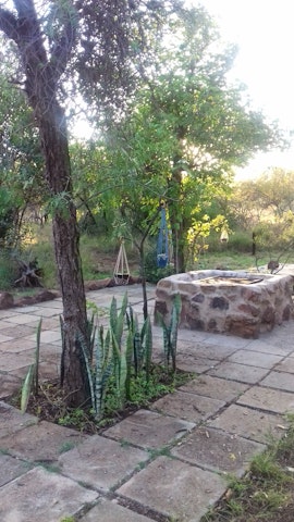 Dinokeng Game Reserve Accommodation at Hartbees Boskamp | Viya