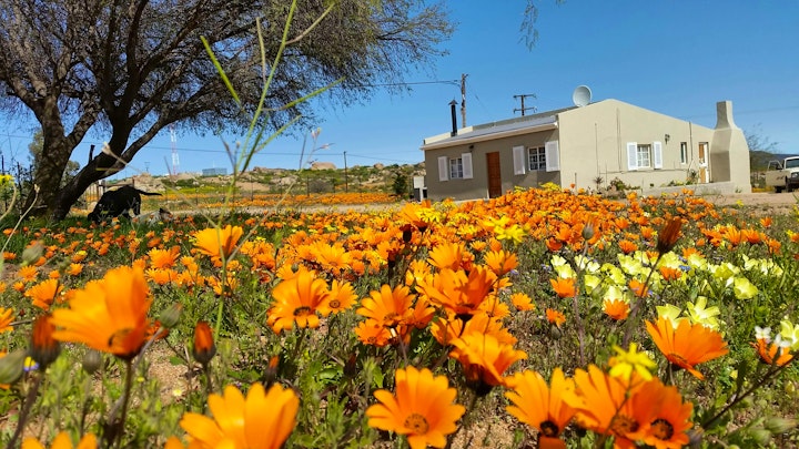 Northern Cape Accommodation at Frances @ Kamieskroon Cosy Cottages | Viya