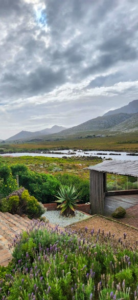 Overberg Accommodation at Kapensis Guesthouse | Viya