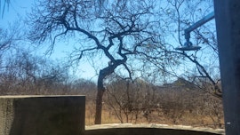 Kruger To Canyons Accommodation at  | Viya