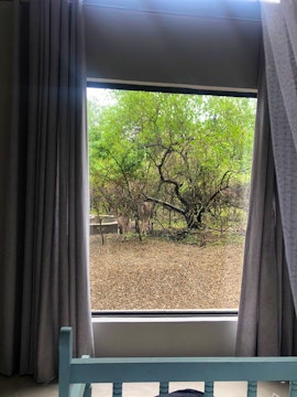 Kruger National Park South Accommodation at Tundra | Viya